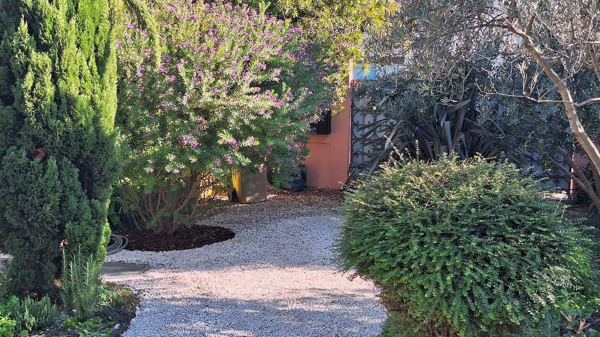 La Maison Rose Avignon France