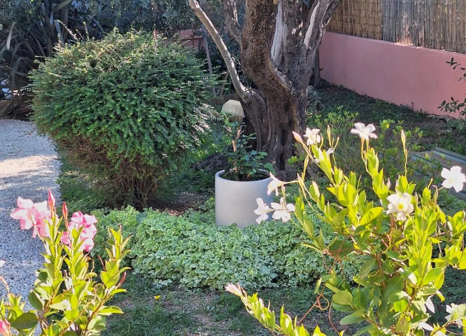 La Maison Rose Avignon 0*,